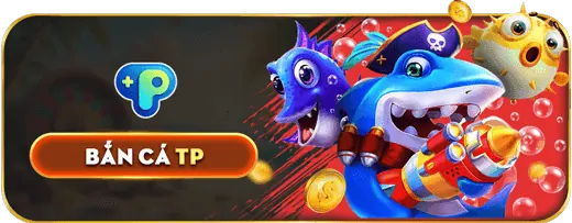 Tổng quan nền tảng KM1888B App